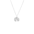 CADENA RAY