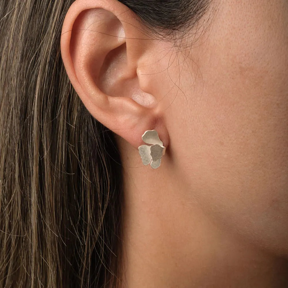 ARETE CORAL