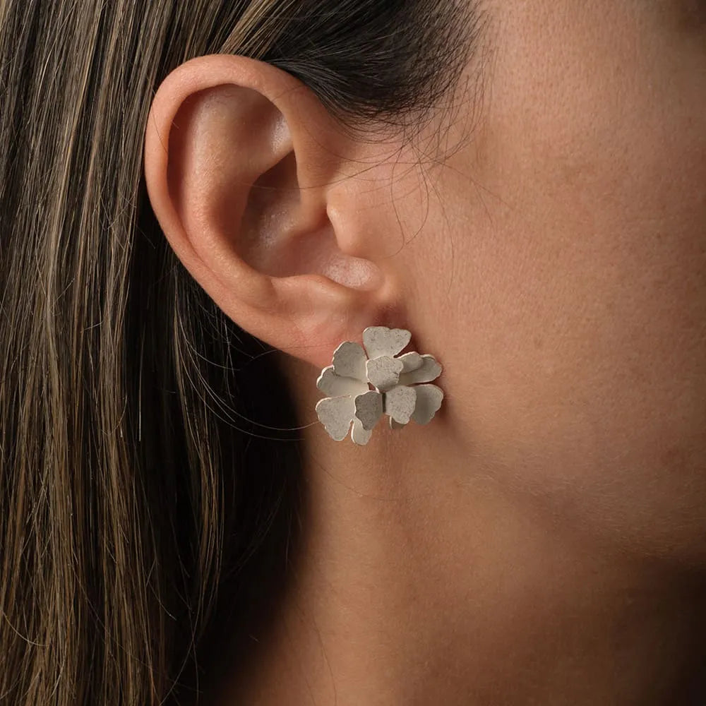ARETE RAY