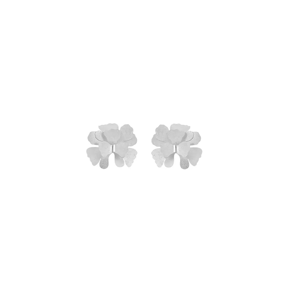 ARETE RAY