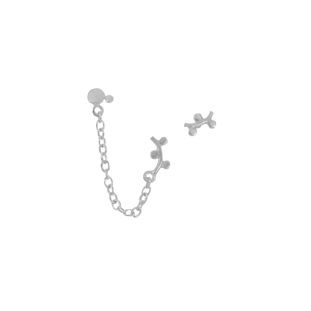 ARETE IRIS